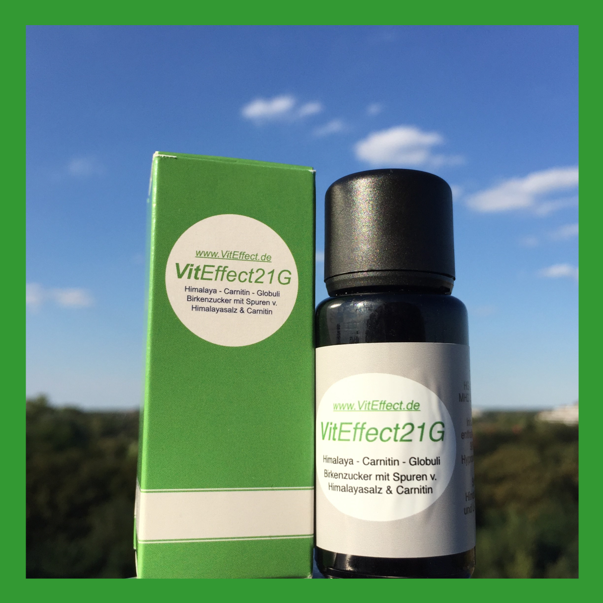 VitEffect21G® Himalaya-Carnitin-Globuli